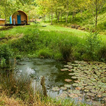 Cabanas Alonos Sociedad Limitada ภายนอก รูปภาพ