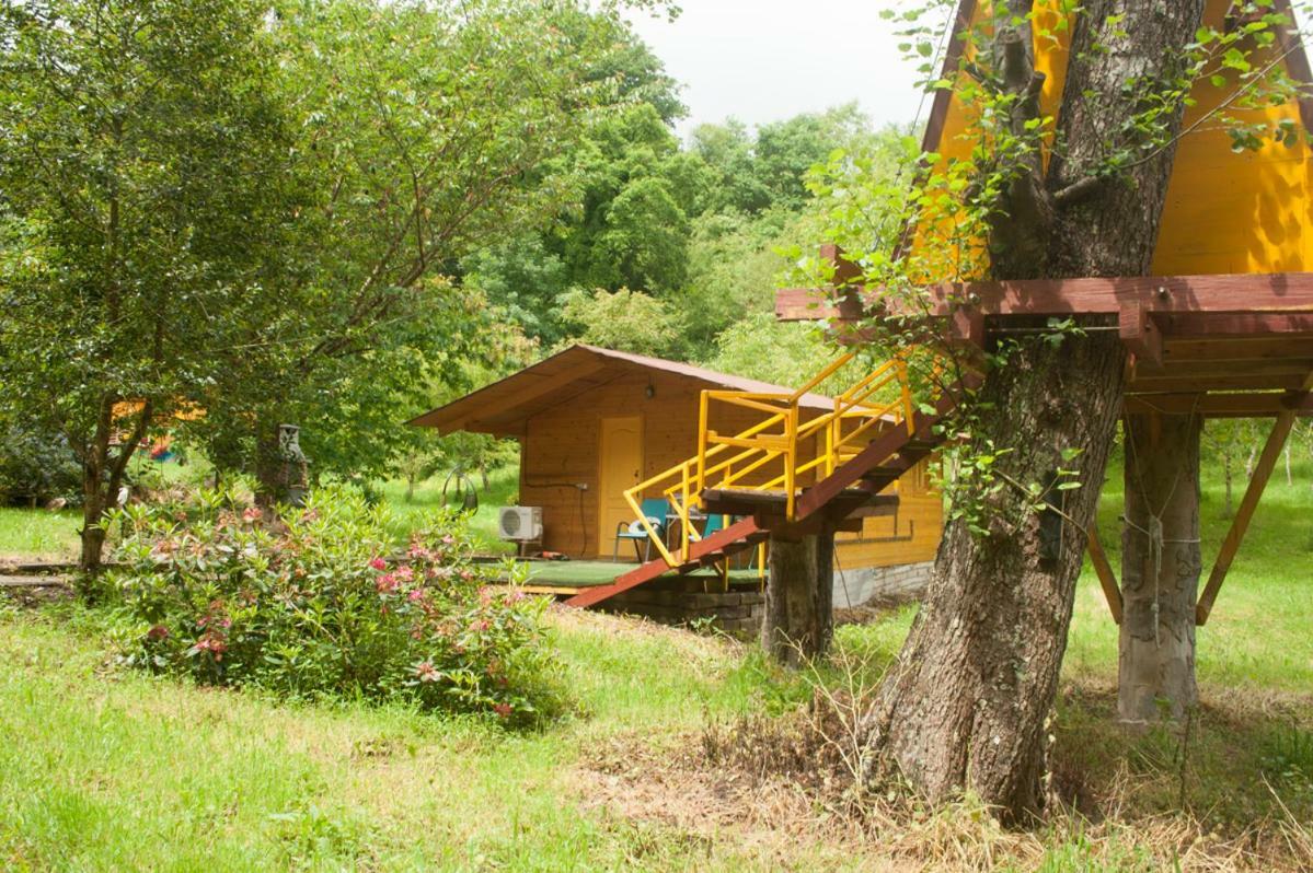 Cabanas Alonos Sociedad Limitada ภายนอก รูปภาพ